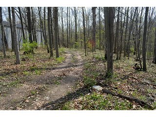 Property photo 47 - REAL ESTATE & PERSONAL PROPERTY AUCTION - 23.5+/- ACRES OFFERED IN 3 TRACTS OR COMBINATIONS IN EAST ALLEN COUNTY